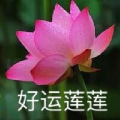 梦想死神内购破解版下载